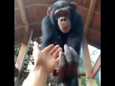 Fist bump!