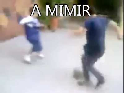 a mimir