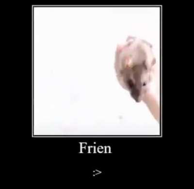 They're friens