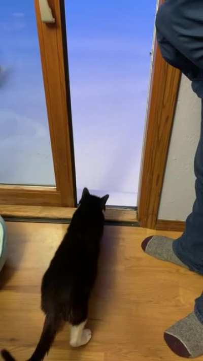 He didn’t like it
