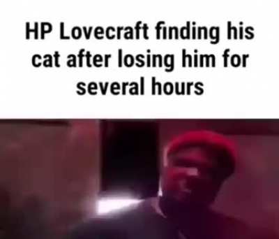 Cat lost