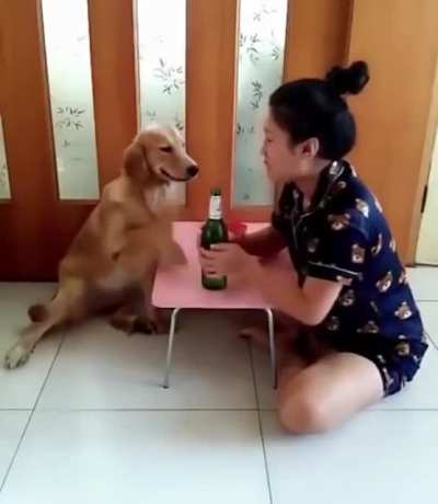 Puppy to the Rescue