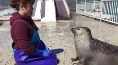 squish squish