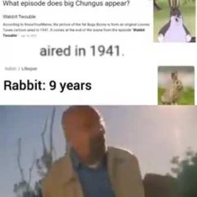 biggie cheesengus