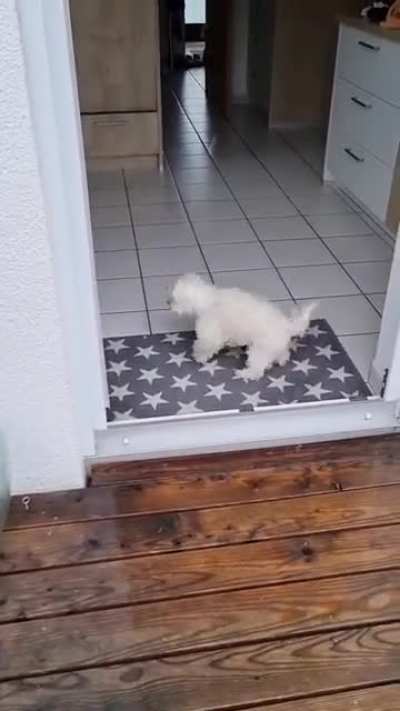 It's my house and I like it clean. 🐰😜