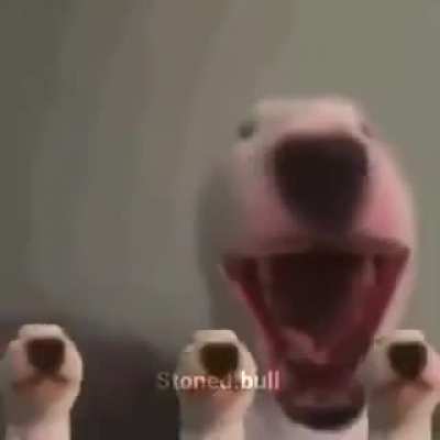 Temardo