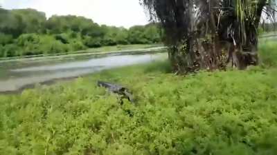 A day fishing out by the river takes an abrupt turn