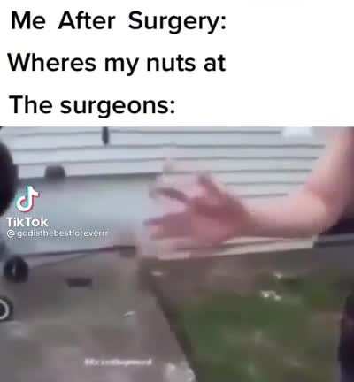nuts