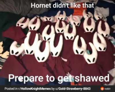 SHAW V2