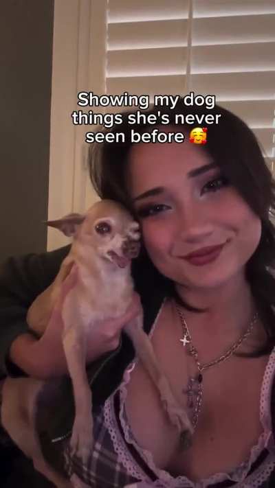 Rule
