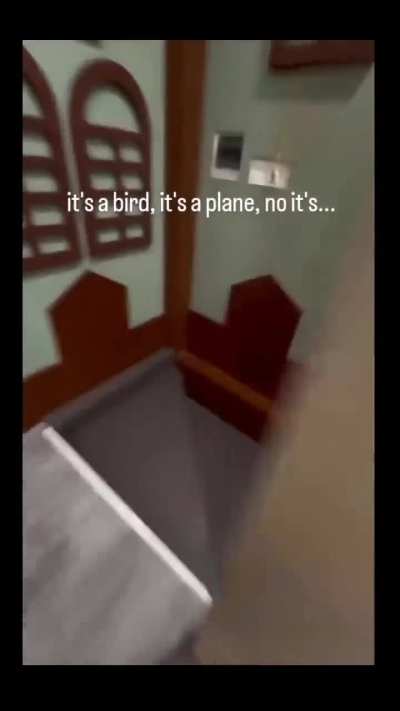 kidsfallingdown