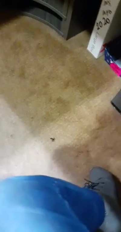 Somebody visited me at work
