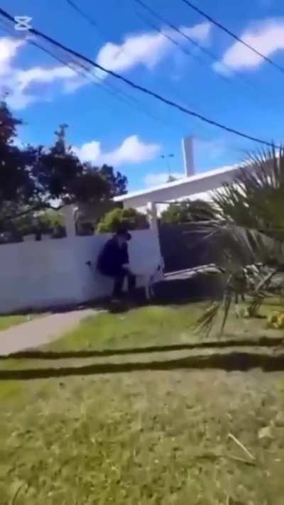 Porque la Firulais se escapa tanto... La Firulais
