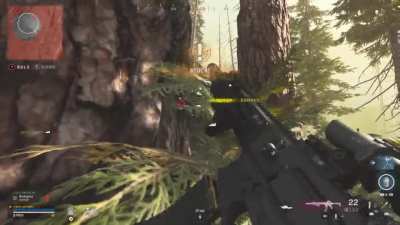 M13 vs DMR 14 meta