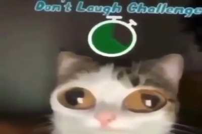 Betcha can't cuz u crign