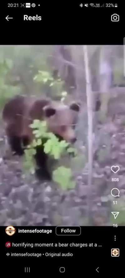 Kicking a bear