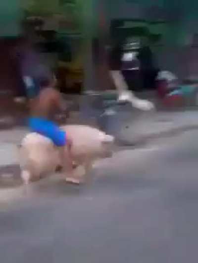 Pepa pig