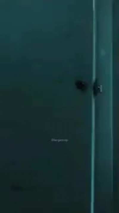 ayo