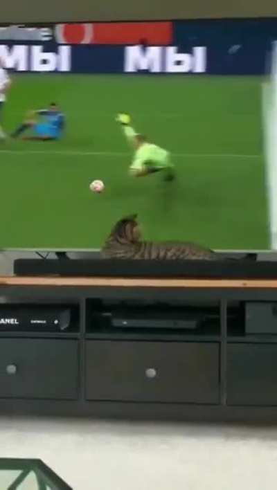 Goooaaaal!!!!!