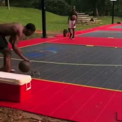 Squirrel wants to play basketball