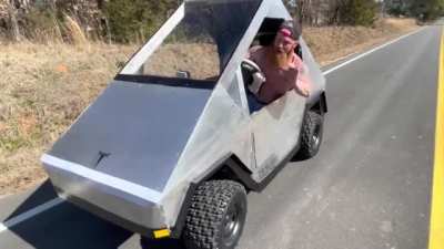 Elon Musk's Redneck Cousin