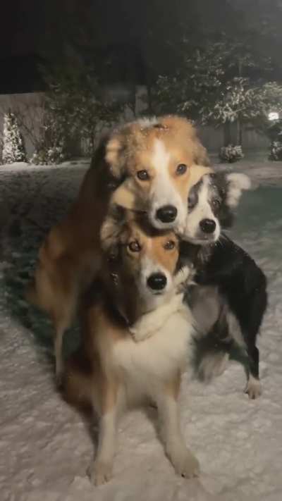 Family Portrait