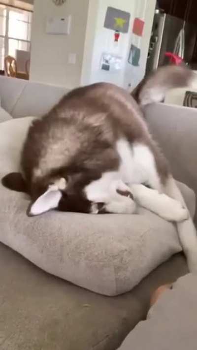 “You won’t let me do anything”