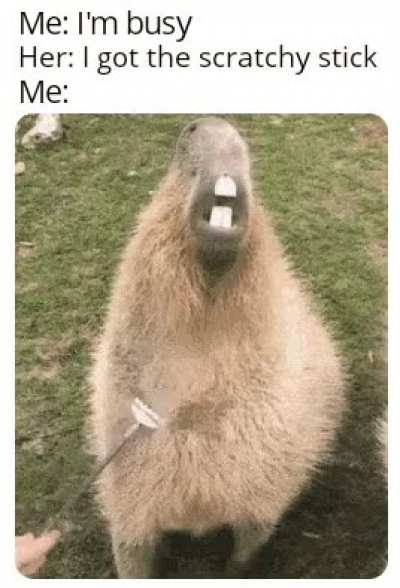 Awww yissss