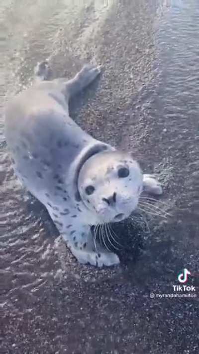 Are you drowning?!