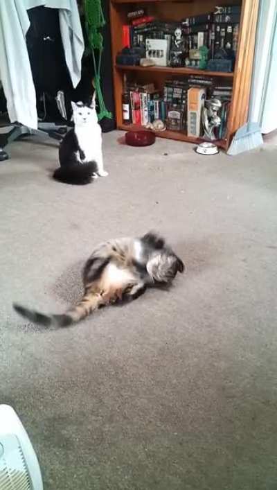 This weirdo...