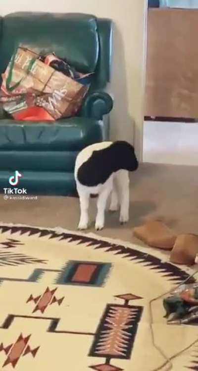 BAAAAAAAAA