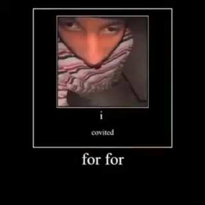 bovid