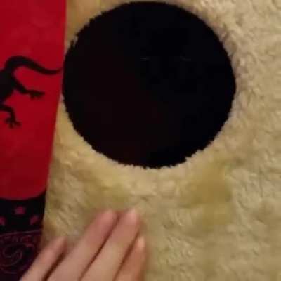 Sometimes when you tap the void it taps back.