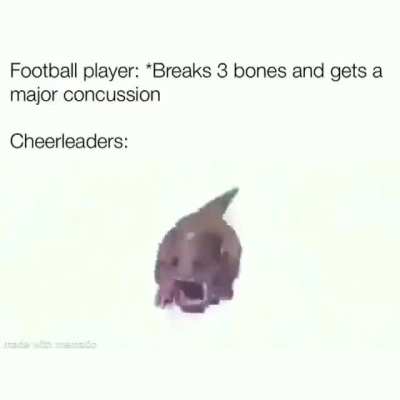 Bones