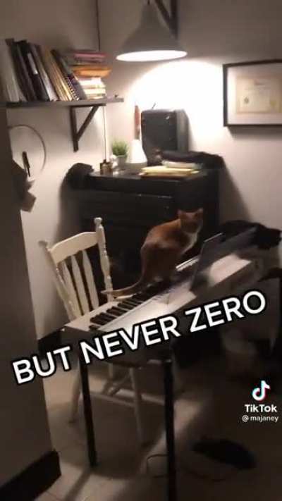 Is your cat plotting to kill you? (sound on)