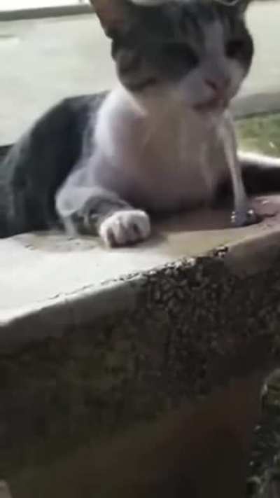 He t h i r s t y