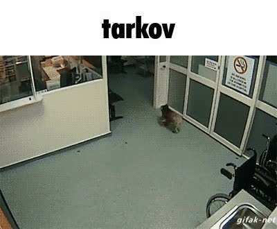 masochist russian rp battle royale
