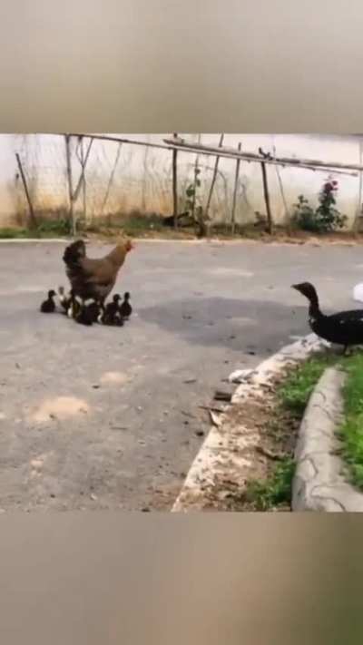 Oh ! Mommy