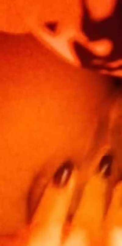 Am I your tits type? (Flash)