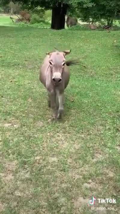 Saw this and immediately thought of this sub. Caption said she hadn’t seen him in a week!
