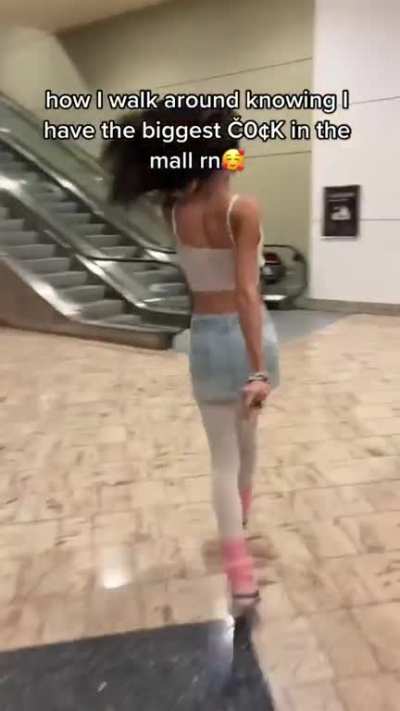 Stella Bee