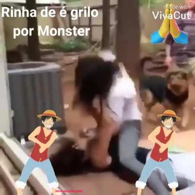 Sugestão