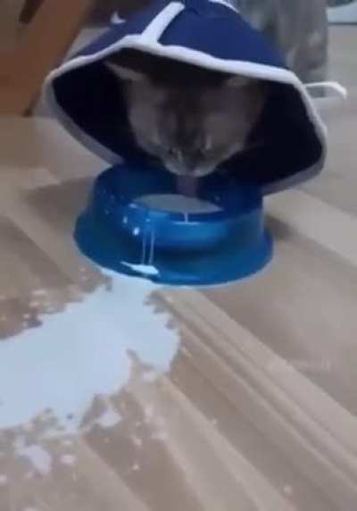 Are you seeing this?