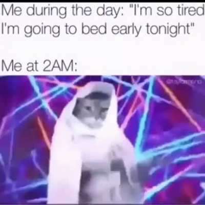 2meirl4meirl