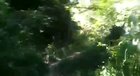 Scaring friend in the jungle