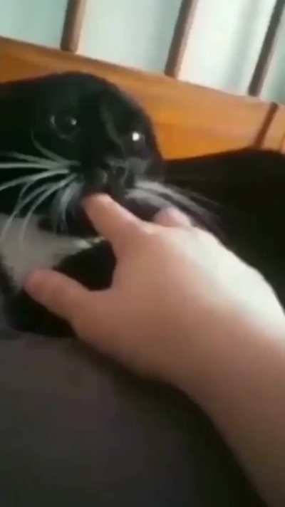 hmmm