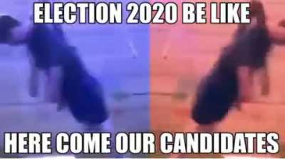 Guys i think i'll pick the neoliberal one do u?