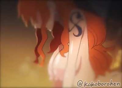 Hi! Anyone got the LuffyxNami full animation from Kokoborohen?
