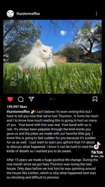 I'm sad now