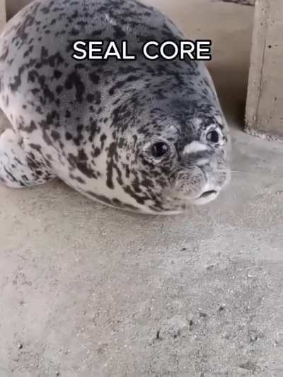 SEAL CORE
